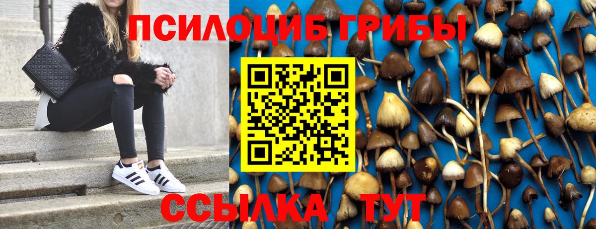 Псилоцибиновые грибы GOLDEN TEACHER Саяногорск
