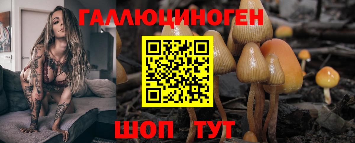 Саяногорск  Галлюциногенные грибы прущие грибы  Вход с VPN 